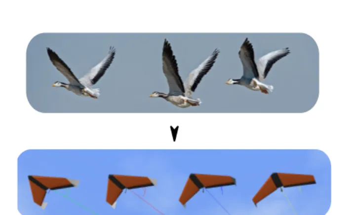 Fig. 1. Formation flight: migrant birds inspiring aircraft performance evolution
