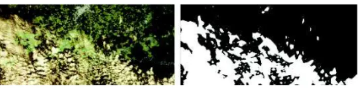 Fig. 1. Example of an image (left) and its cloud mask (right).