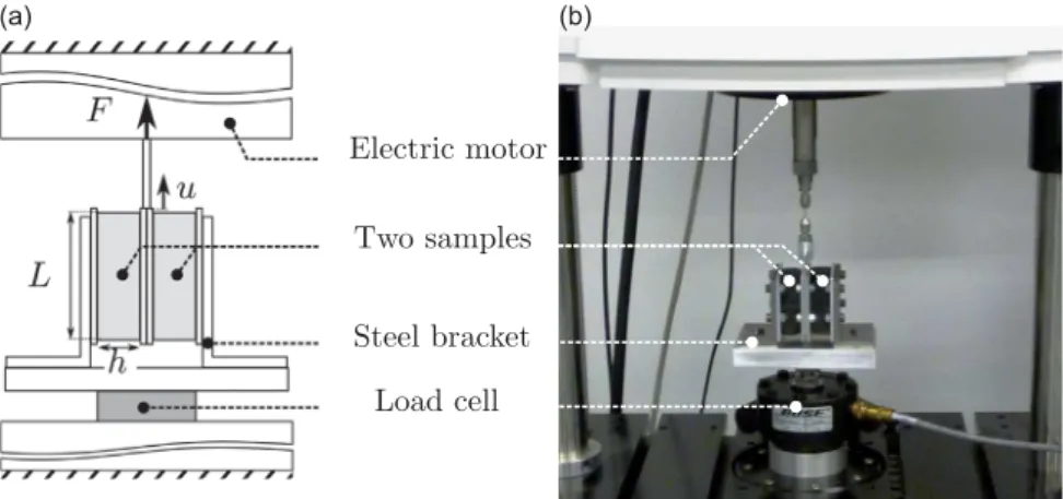 Fig. 2. Double lap shear set-up: (a) schematic principle and (b) experimental set-up.