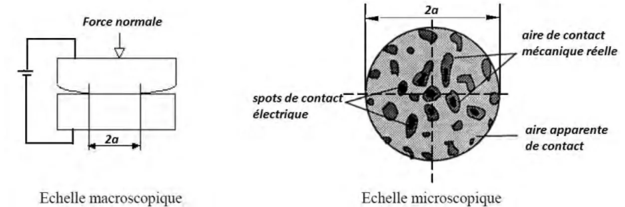 Figure 1.17 : Macro et micro-échelle d’un contact électrique sphère-plan. 