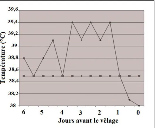 Figure 1 : Evolution de la température rectale chez une vache gravide au cours des derniers jours  précédant le vêlage (source Institut de l’élevage) 