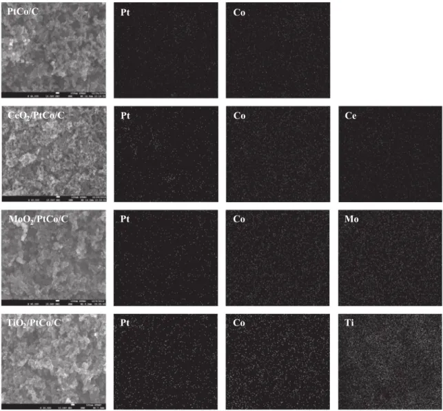 Fig. 4. SEM image and mapping of metal element obtained from the EDX measurement on PtCo/C catalysts with different metal oxides.