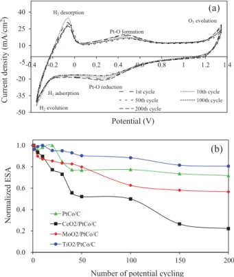 Fig. 12. Potentiodynamic polarization for corrosion of PtCo/C and MO 2 /PtCo/C catalysts in 0.5 M H 2 SO 4 with the scan rate of 1 mV/s.
