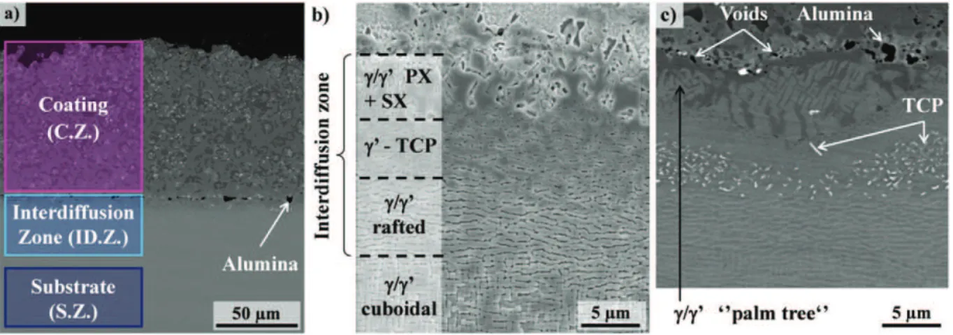 Fig. 1. a) General view of the gradient of microstructure of a NiCoCrAlYTa coated MC2 superalloy (BSE-SEM)