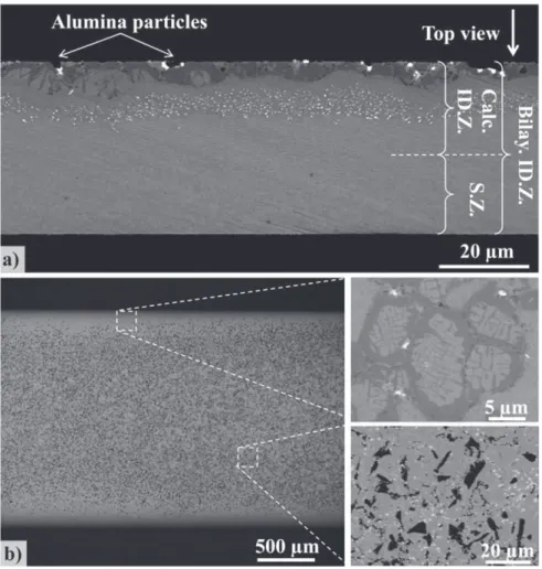 Fig. 4. Tensile experiments performed on free-standing specimens at 950, 1050 and 1100 °C: a) S.Z