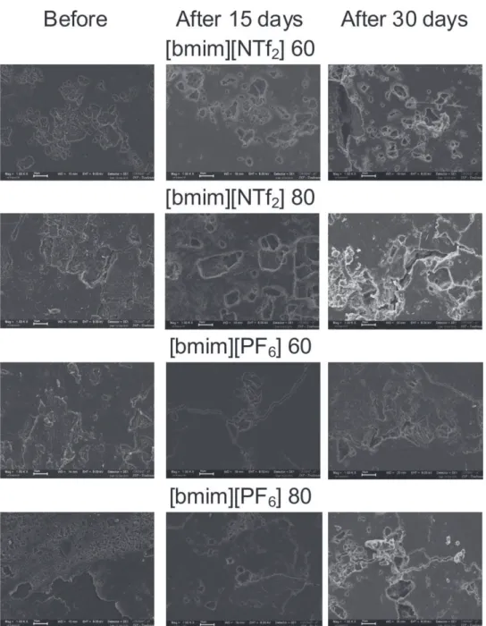 Figure 15. Mass loss of PCLs synthesized in ILs by CALB after different duration of the degradation test in PBS solution at 37 8C and pH 7.4.