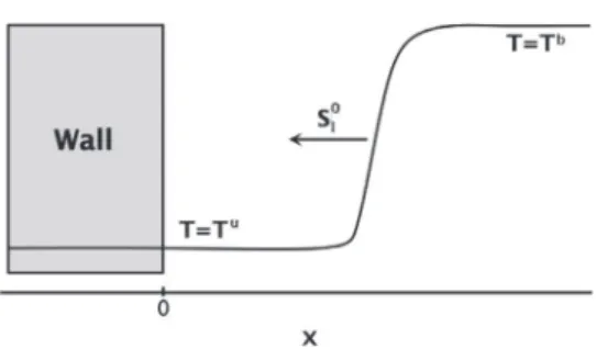 Fig. 1. Flame–wall interaction (FWI): head-on quenching (HOQ) configuration. Ini-  tial wall temperature T  wi  is set equal to fresh gas temperature T u  