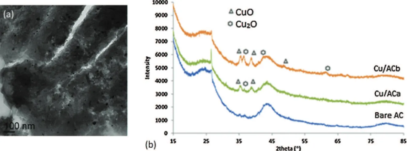 Fig. 2. Copper oxide catalysts: (a) TEM micrograph of Cu/ACb and (b) X-ray diffractograms of Cu impregnated and bare ACs.