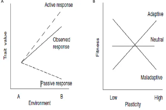 Figure 1: Les études de plasticité utilisent des plans factoriels pour évaluer les effets du génotype (de la  population ou de la lignée), les effets environnementaux et  leurs interactions