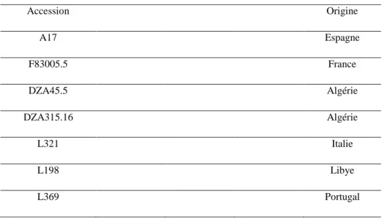 Tableau 2 : Les différents génotypes de Medicago truncatula et leurs origines. 