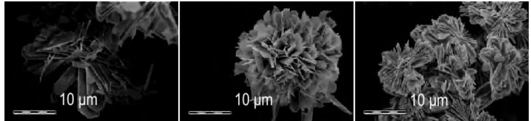 Tableau I-7- Paramètres de maille obtenus par Gras (Gras, 2014) et Balić-Žunić et al. (Balić-Žunić et  al., 2000) pour la phase m-CPPT β