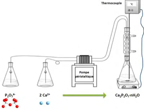 Figure I-19- Configuration standard du dispositif de synthèse des pyrophosphates de calcium hydratés  par précipitation selon la méthode établie par Gras et al