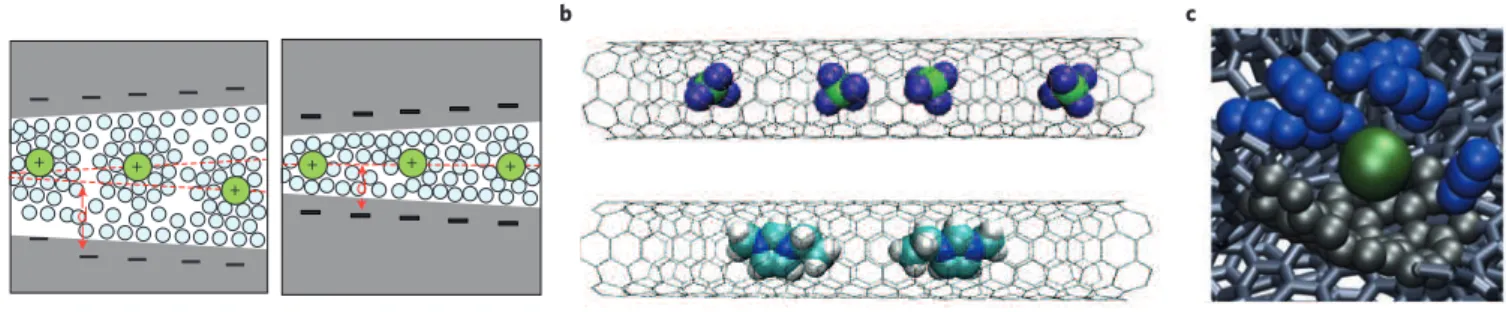 Figure 7 | Evolution of the picture of the electrode/electrolyte interface in the past decade