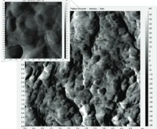 Fig.  8.  AFM  micrographs  of  a  fracture  of  a  BT  nanoceramic sintered by SPS. 