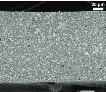 Figure  1  is  microscope  SEM  image  of  a  cryofractured  filled sample edge, in the backscattered mode, with incident  electrons accelerated at 10 kV