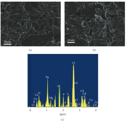 Figure 1: 2D-SEM images of (a) bare CPE and (b) CH-CPE. (c) EDX spectrum obtained by difference between EDX spectra of the bare CPE and CH-CPE.