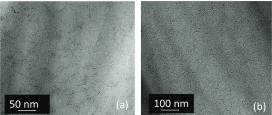 Fig. 6. Transmission electronic microscopy (TEM) of deposit obtained from sol with boehmite concentration of (a) 0.51 mol L − 1 and (b) 0.89 mol L − 1 .