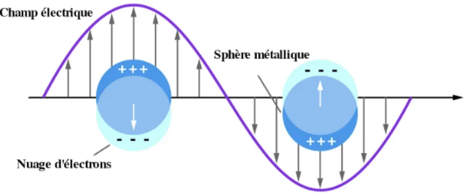 Figure 0.2 – Représentation de la formation d’un plasmon de surface sur une nanopar- nanopar-ticule métallique (6)