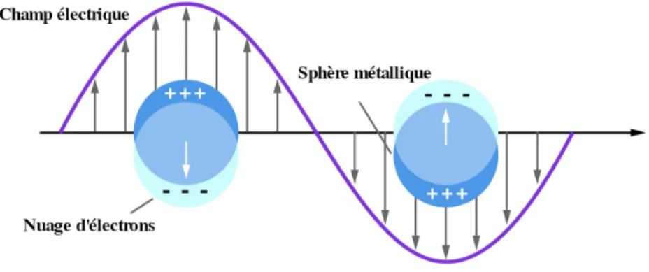 Figure 1.1 – Représentation de la formation d’un plasmon de surface sur une nanopar- nanopar-ticule métallique (5)