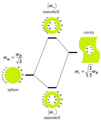 Figure 1.7 – Diagramme des niveaux d’énergie décrivant l’hybridation du plasmon dans les nanocoquilles métalliques (24)