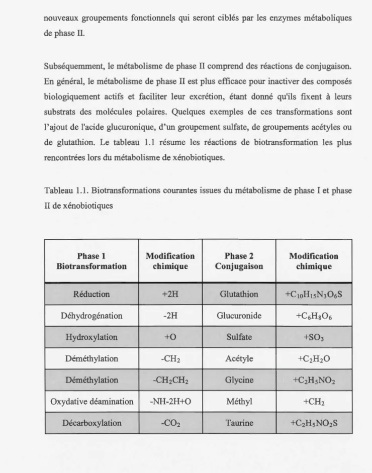 Tableau  1.1 . Biotransformations courantes issues  du  métabolisme de phase I et phase  II de xénobiotiques 