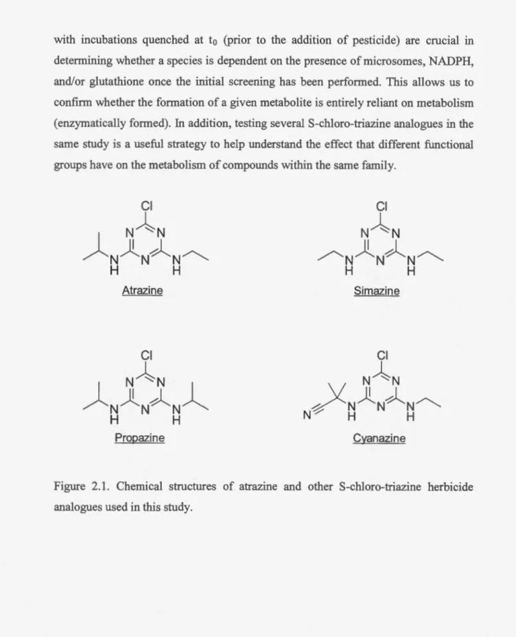 Figure  2.1.  Chemical  structures  of  atrazine  and  other  S-chloro-triazine  herbicide  analogues used in  this study