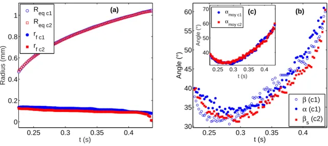 Figure 3.9 – Surface de verre traité horizontale dans un liquide au repos : (a) Évolution du rayon au pied de bulle et équivalent sur les deux vues (b) Évolution des angles de contacts sur les deux vues (c) Évolution des angles de contacts moyens sur les d