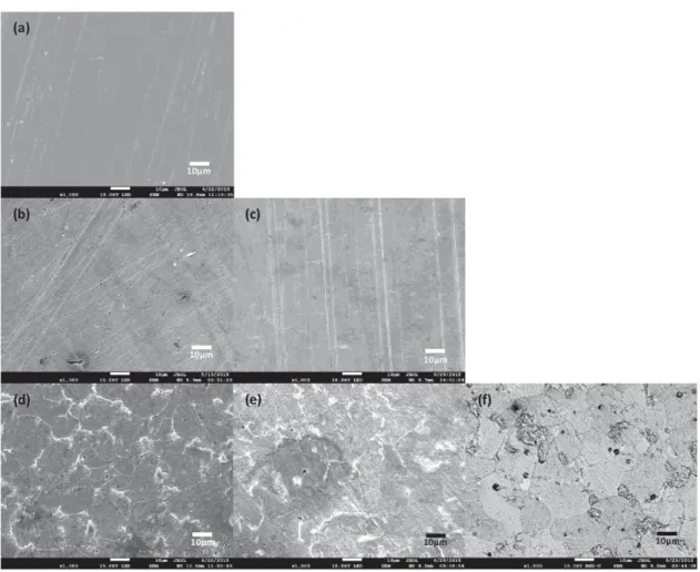Fig. 8. SEM images of the S235JR mild steel electrode surface (a) just before immersion (24 h after grinding) (b–f) after 24 h in Tris-HCl medium with or without hydrogenase inside the dialysis bag (b) 75 mL control solution, (c) 160 mL control solution, (