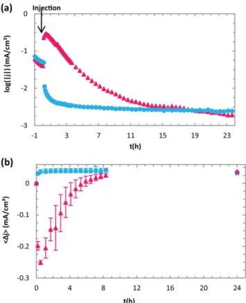Fig. 12. Model proposed for cathodic electron depolarisation by hydrogenases (direct electron transfer), which led to a corrosion process exacerbation.