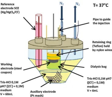 Fig. 1. Scheme of the experimental setup 2 with a dialysis bag.