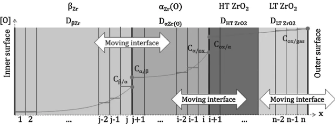 Fig. 1. Schematic of the EKINOX-Zr model.