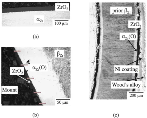 Fig. 6. (a) Optical cross-section of a Zircaloy-4 sample oxidized in autoclave at 360 ◦ C during 1328 days
