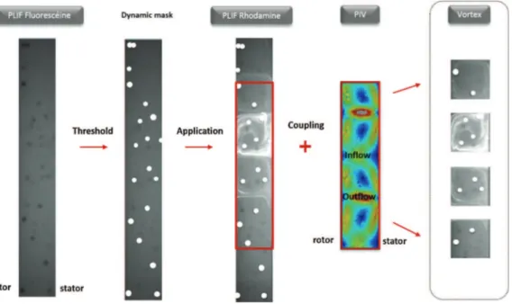 Fig. 3 – Principle of the image processing methodology.