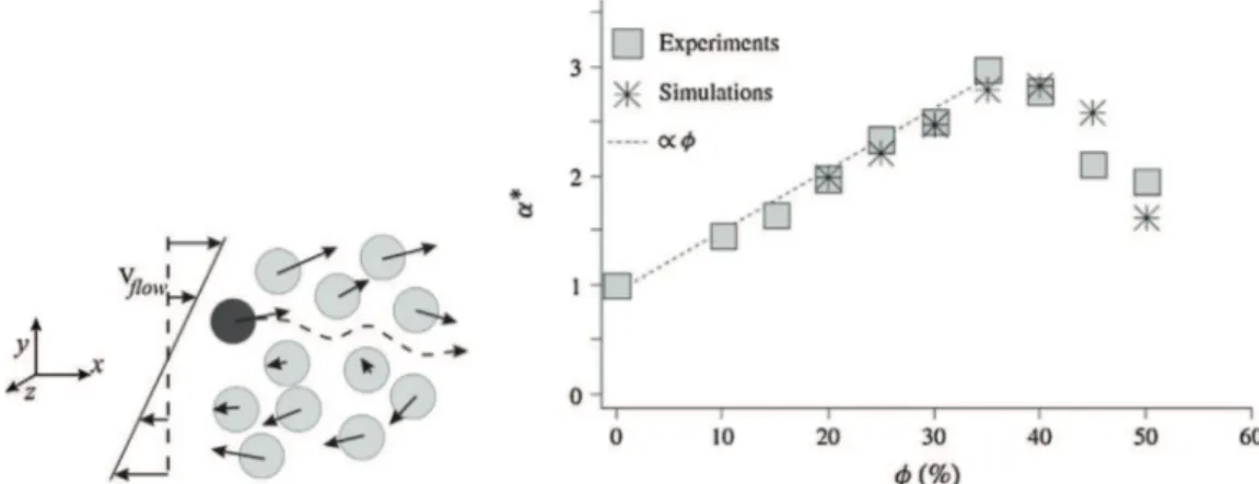 Fig. 8 – Left: Illustration of the shear-induced self-diffusion of particles (from Breedveld, 2000)