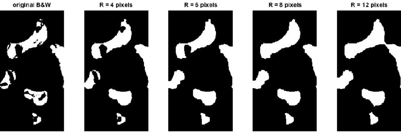 Figure 9 : Résultats de dilatation-érosion obtenus pour différents rayons d’élément structurant