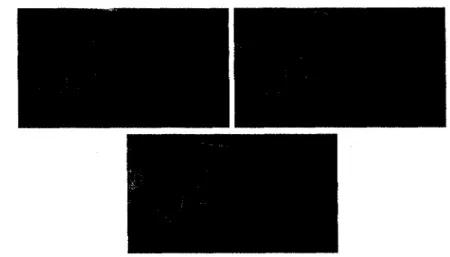 Fig. 5. Frames from the stairway sequence at time t = 0, 10 and 20. 