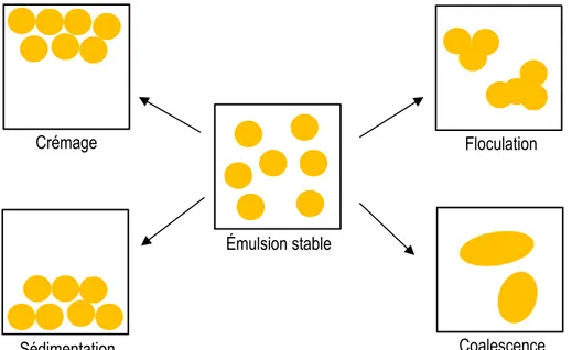 Figure  4  :  Représentation  des  phénomènes  de  déstabilisation  d'une  émulsion  (adaptation  de 