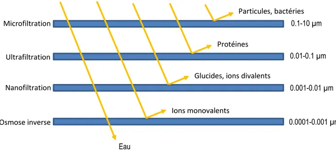 Figure 6 : Les différents procédés baromembranaires (adapté de Bazinet et Castaigne, 2011) 