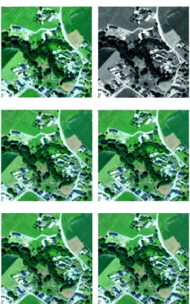 Fig. 1. Madonna dataset: (Top left) HS image. (Top right) PAN image. (Middle left) Fusion with method in [8]