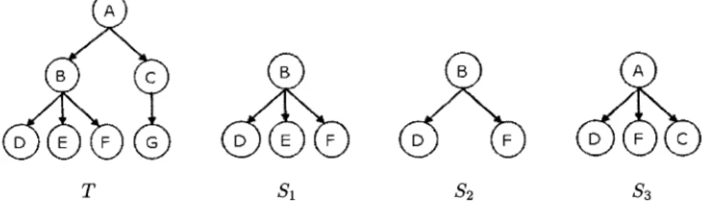 Figure 2.2: Exemples de types de sous-arbres. 