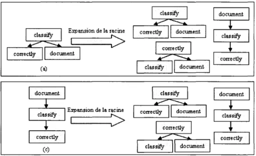 Figure 2.11: Exemples de l'expansion de la racine. 