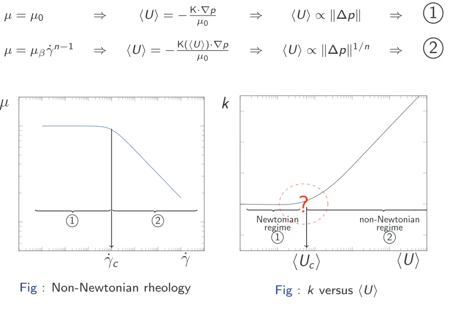 Fig : Non-Newtonian rheology