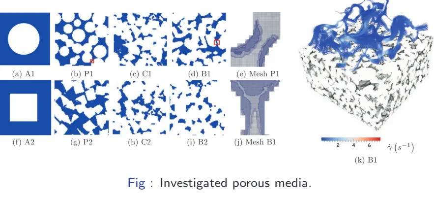 Fig : Investigated porous media.