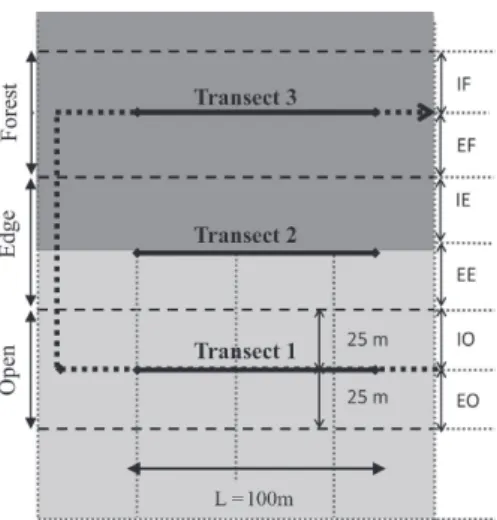 Figure 2. Bird sampling design used to analyze edge responses: three transects were simultaneously covered by three observers within three habitat types, forest (dark gray), edge and open habitat (light gray), defining six habitat strips along the forest-e