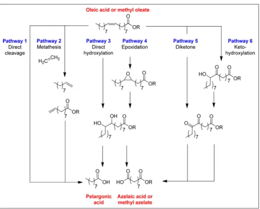 Fig. 4. Oxidative cleavage of oleic acid or methyl oleate.