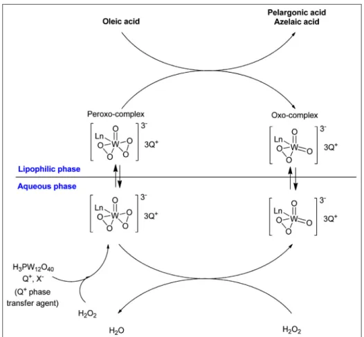 Fig. 5. Catalytic cycle for the oxidative cleavage of oleic acid.