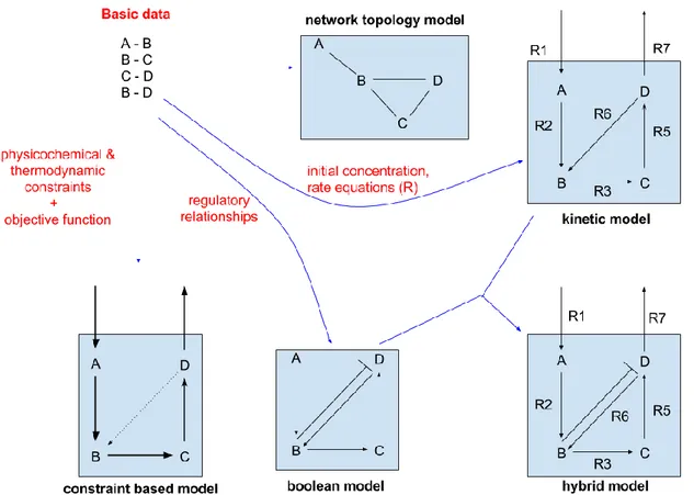 Figure 6 - Basic types of modelling in Systems Biology 
