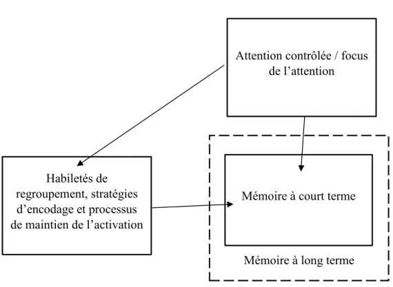 Figure 2. Relations entre les composantes de la mémoire de travail selon le  modèle de l’attention contrôlée de Engle et Kane (2004)