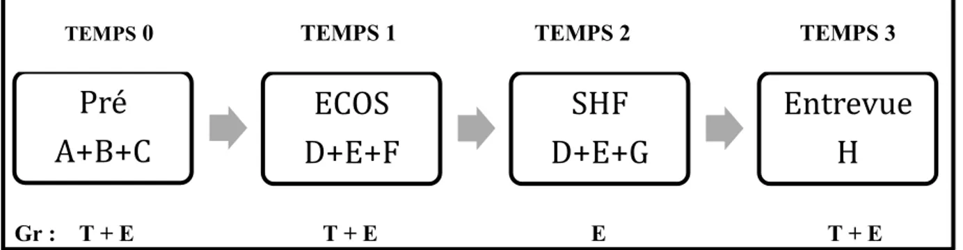 Figure 5. Déroulement de l’expérimentation 