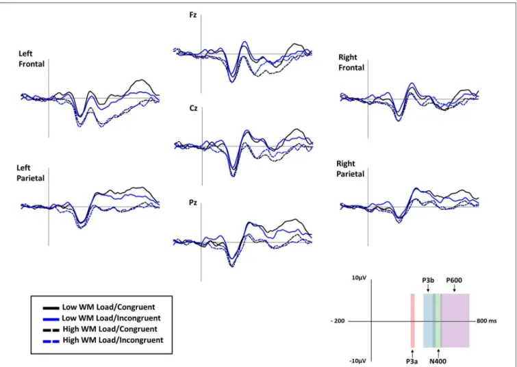 FIGURE 6 | Grand average ERP waveforms for low working memory (WM) load/congruent (black line), low WM load/incongruent (blue line), high WM load/congruent (dashed black line) and high WM load/incongruent trials (dashed blue line) at Fz, Cz, Pz, and left f